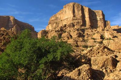 كوه تنگوان