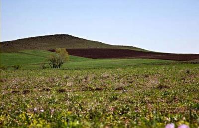 روستای ویر