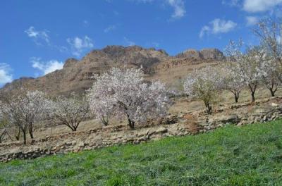 روستای سنگی باجگان بافق