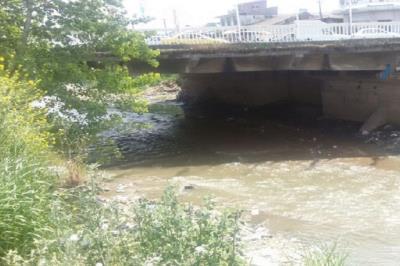 رودخانه مرداب آستارا