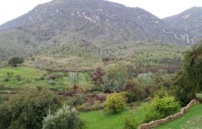 روستای قلعه دژكوه زادگاه هنرمند معروف ایرانی