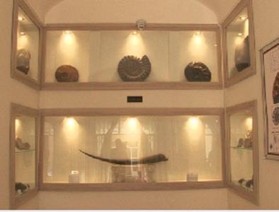 موزه دیرینه شناسی كامبرین