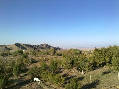 روستای بسك ، بهترین روستا در ششتمد سبزوار