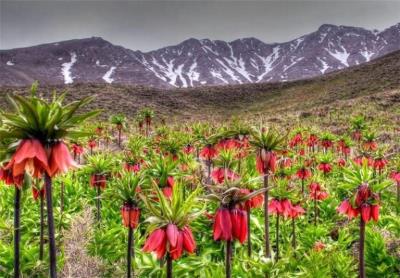 جاهای دیدنی خرم آباد در بهار (۱۵ جاذبه گردشگری)