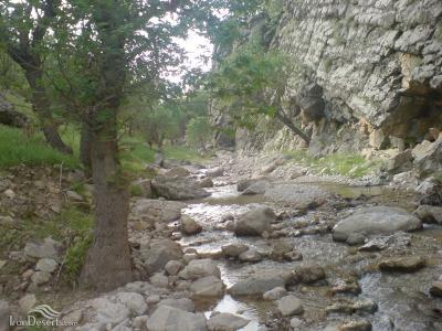 تنگ تهی