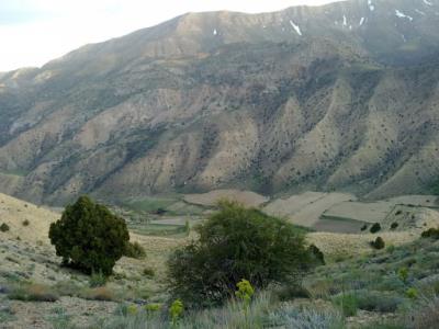 روستای تاش شاهرود