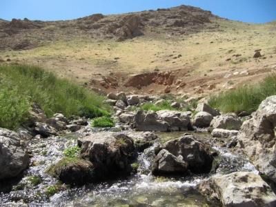 چشمه مایك