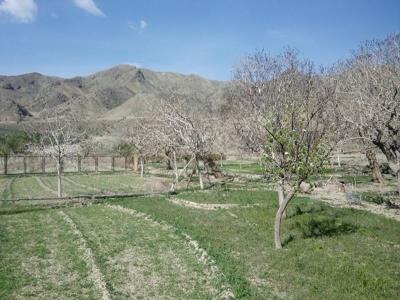 روستای استانست