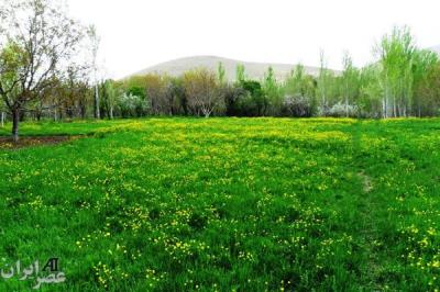 روستای ارجنك شهركرد