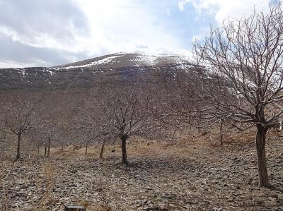 روستای چنار خمین
