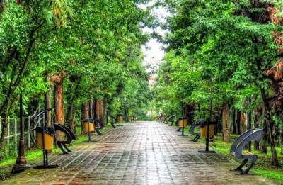 پارك مفاخر رشت