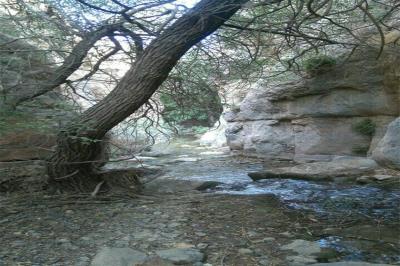 رودخانه آب كمر تفرش