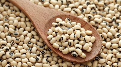 طرز تهیه ی انواع لوبیاپلو در ایران