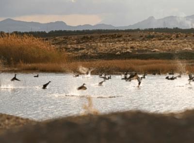 تالاب بهشت معصومه قم
