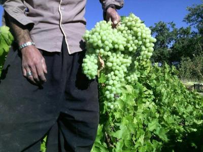 روستای قلعه لان كرمانشاه