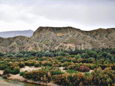 شهر انارستان