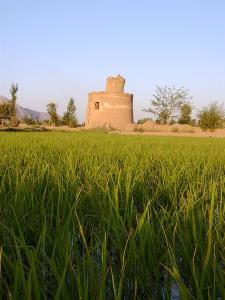 زرین شهر