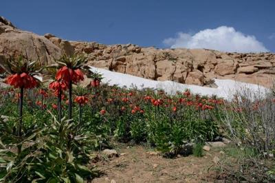شیلگان دره درگز