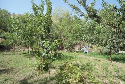 روستای سنو گناباد