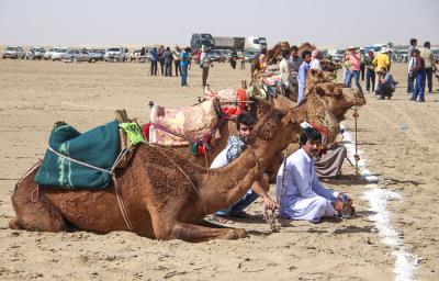 شترسواری كویر ورزنه
