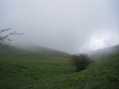 سنگ نگاره های عقربلو