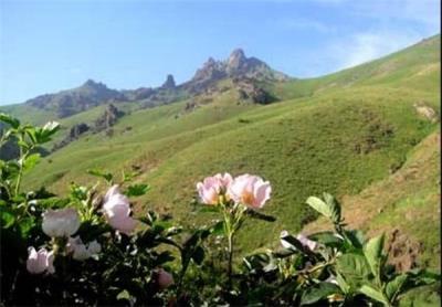 منطقه‌ شكار ممنوع زرینه اوباتو