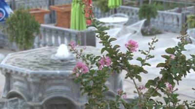 بام سبز خمینی شهر