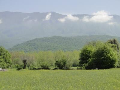 جنگل شصت كلا گرگان