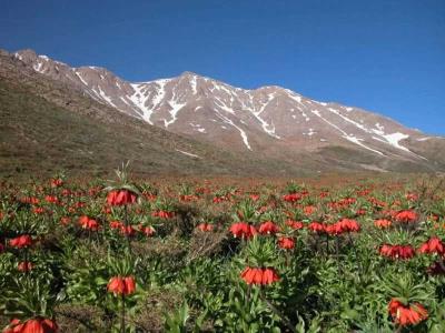 جاهای دیدنی خوانسار در بهار