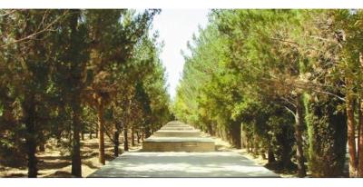 پارك جنگلی فراغه ابركوه