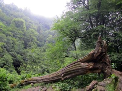 آبشار ویسادار