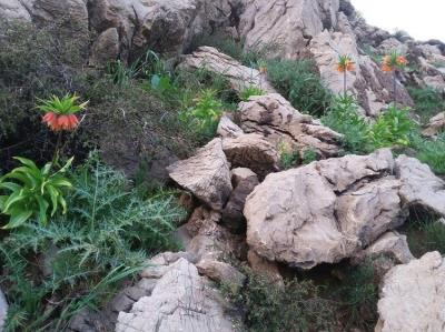 رودخانه سیروان كردستان