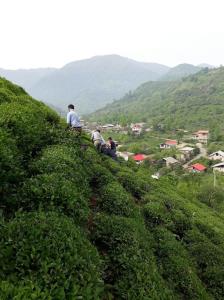 روستای جیرگوابر املش