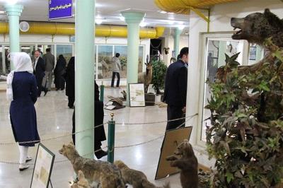 موزه تاریخ طبیعی اردبیل