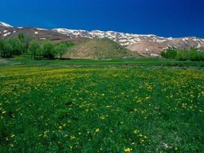 منطقه جنگلی اردل