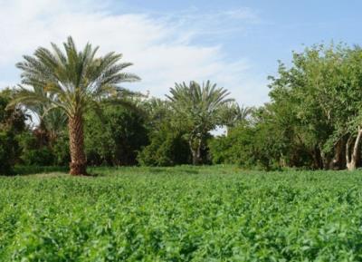 روستای لادیز