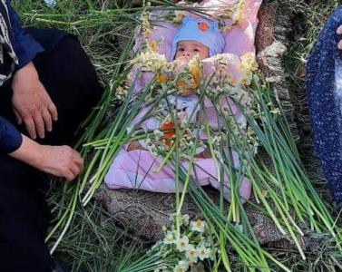 گُل‌غلتان» خفر فارس، آیین ثبت شده در میراث معنوی