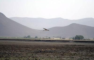 «خشكسالی» نفس تالاب‌ها را به شماره انداخت!
