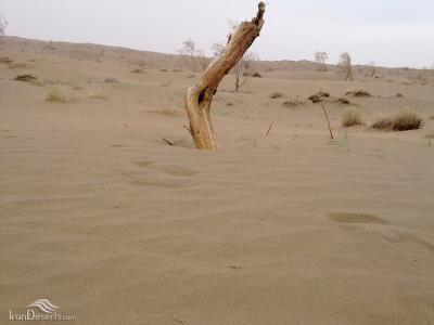 كویرحلوان طبس