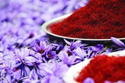 پایتخت طلای سرخ جهان