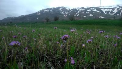 آبشار سیبیه خانی خلخال