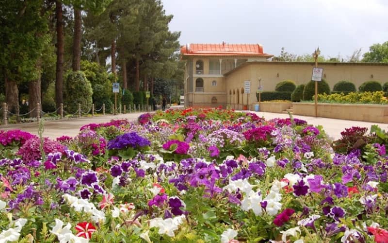 باغ ارم شیراز ،باغی پر از عطر بهارنارنج