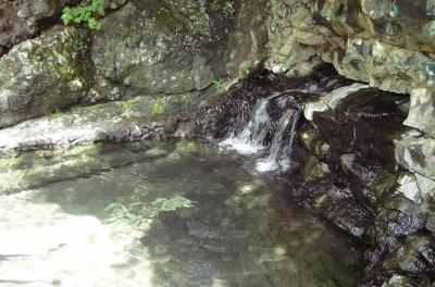 زرچشمه ؛ چشمه ای زلال با طبیعتی بكر