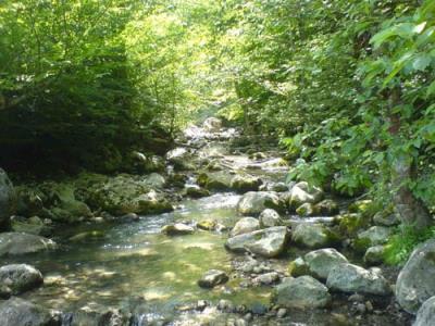 روستای تالارپشت سفلی