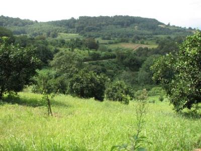 روستای واسكس و دیدنی های آن
