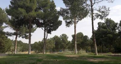 پارك شهید چمران ساوه