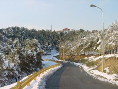 پارك جنگلی لویزان