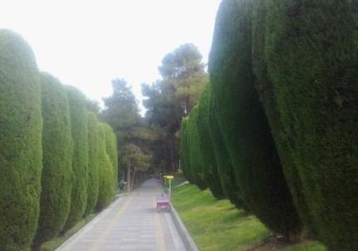 پارك ساعی تهران
