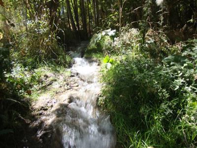 روستای زیبای فریزهند