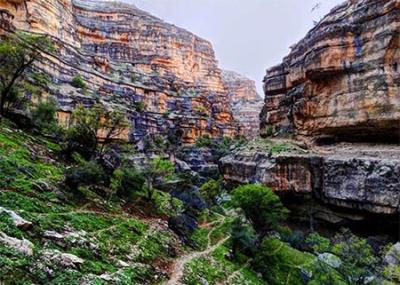 سفر به دره های سرسبز و دیدنی ایران